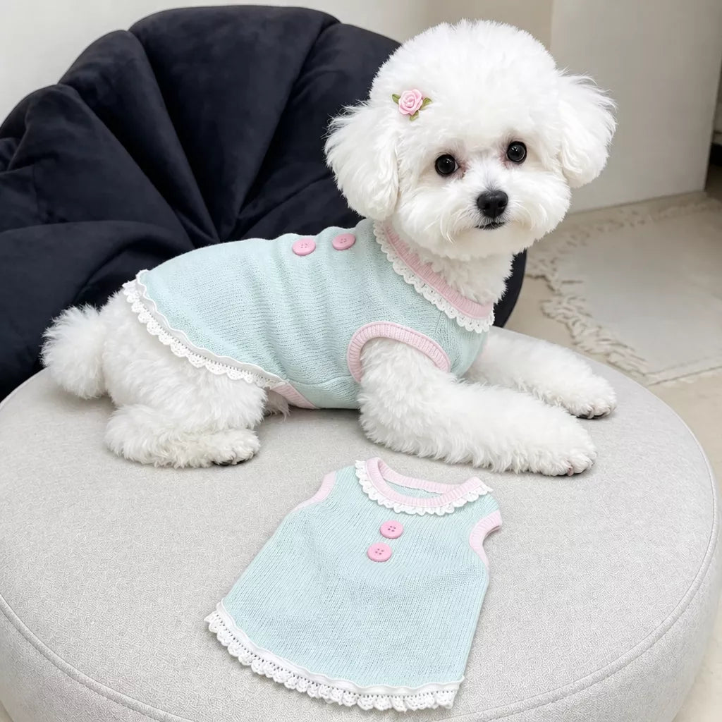 Pet Tank Tops and Strappy Dresses