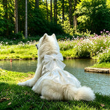 Formal Dress for Large Dogs