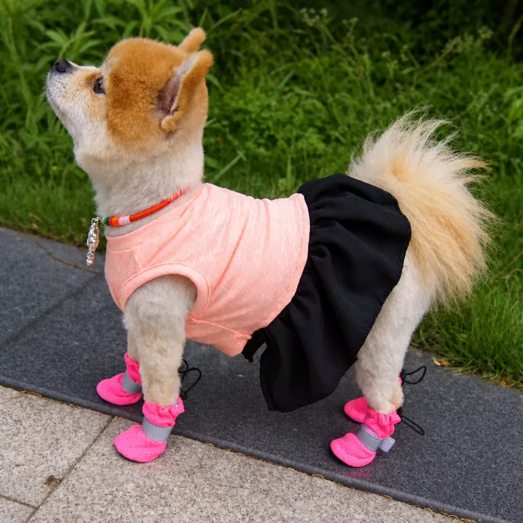 Mesh Dog Shoes with Soft Soles for Everyday Walks