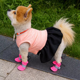 Mesh Dog Shoes with Soft Soles for Everyday Walks