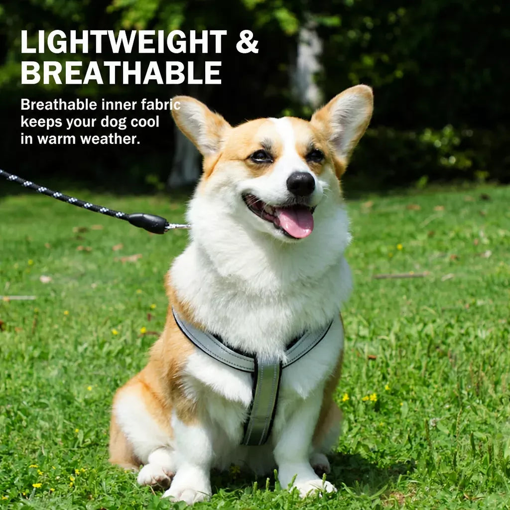 Y-Style Dog Harness Vest