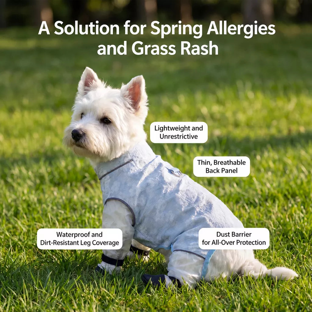 Lightweight Four-Leg Mesh Suit for Small Dogs