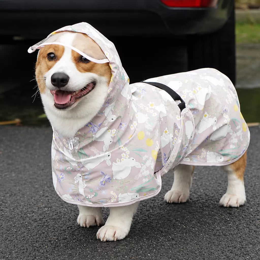 Dog Raincoat for Rainy-Day Walks