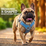 Dog Harness and Leash Set for Small to Medium Dogs
