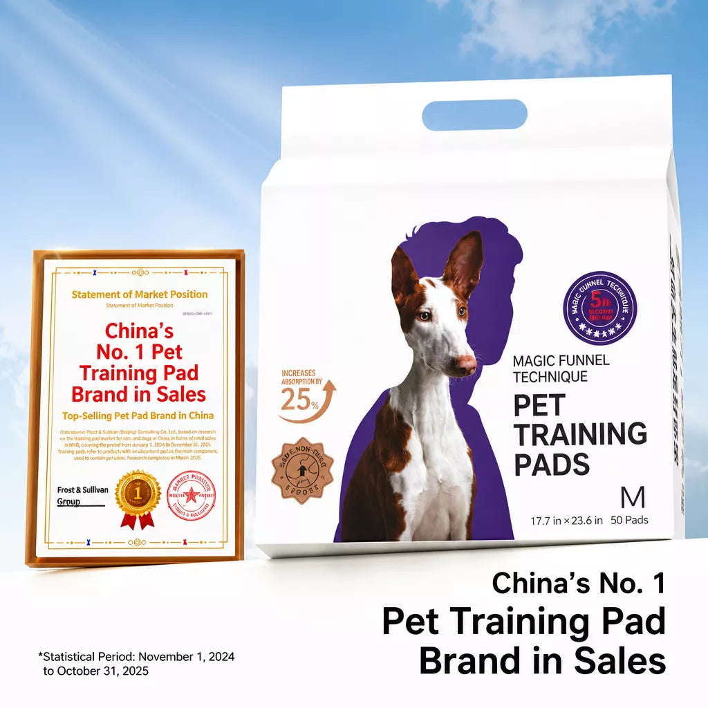 Absorbent Dog Training Pads for Indoor Potty Training