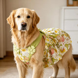 Summer Dog Dress with Shoulder Straps for Medium to Large Dogs