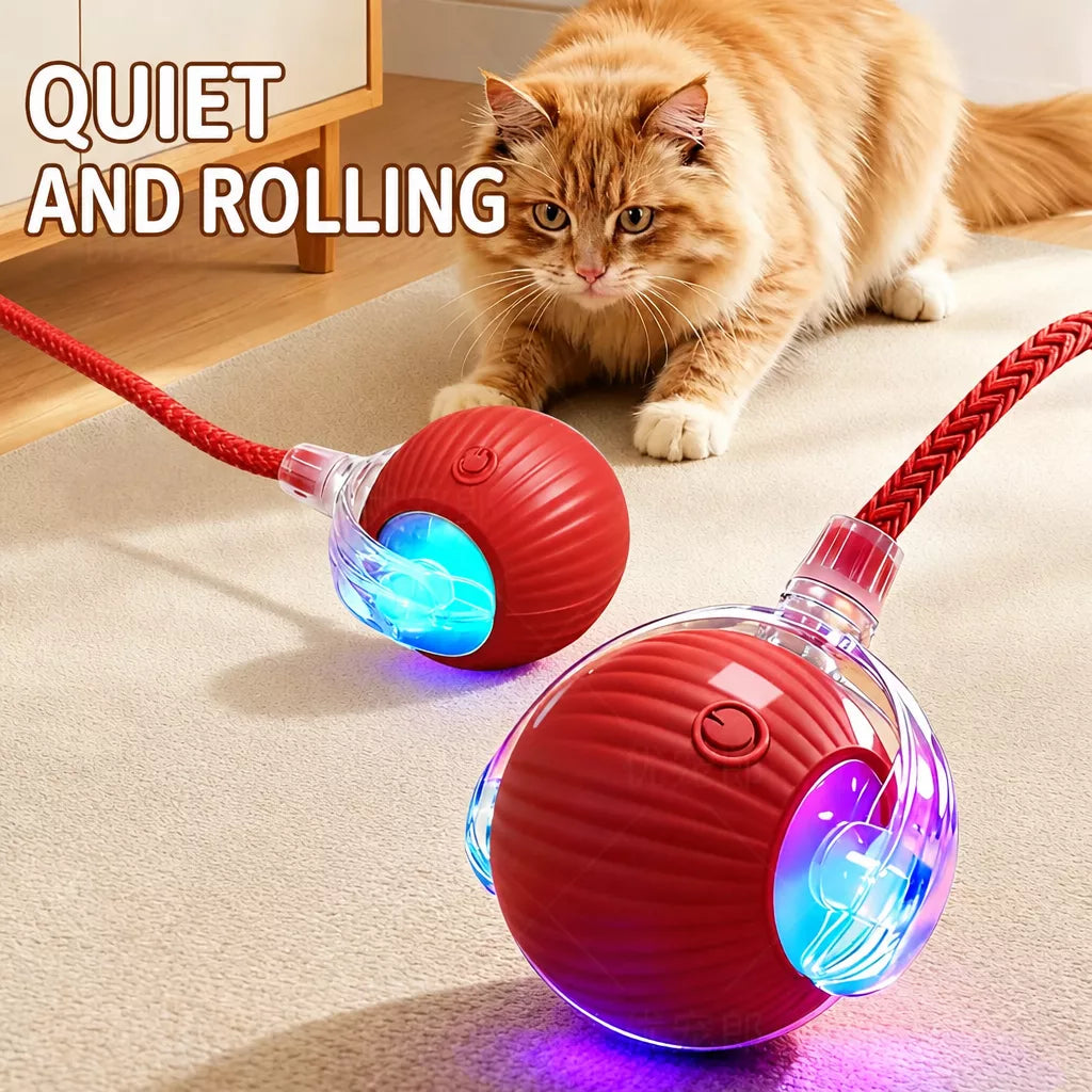 Interactive Cat Toy Ball