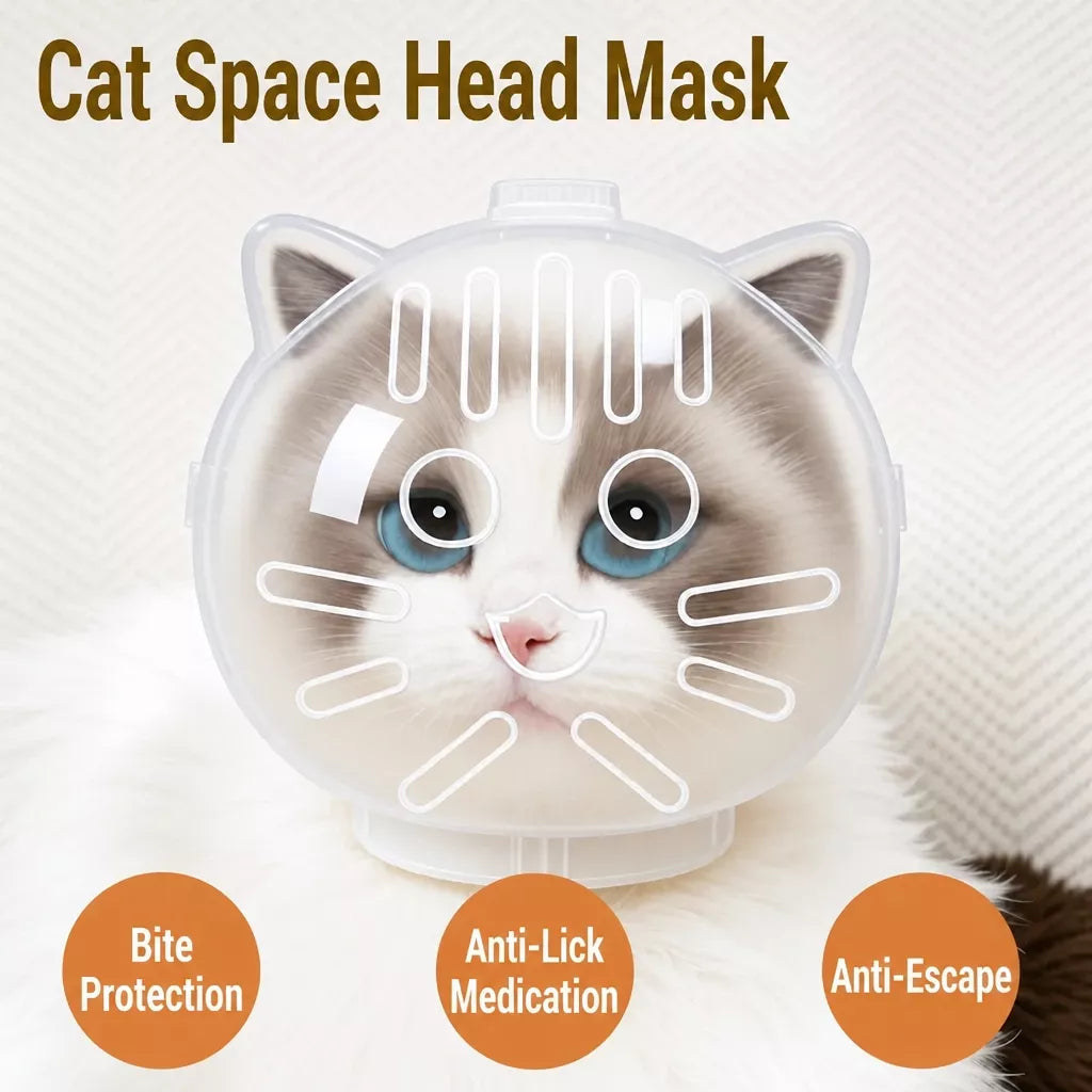 Clear Plastic Pet Recovery Cone for Cats