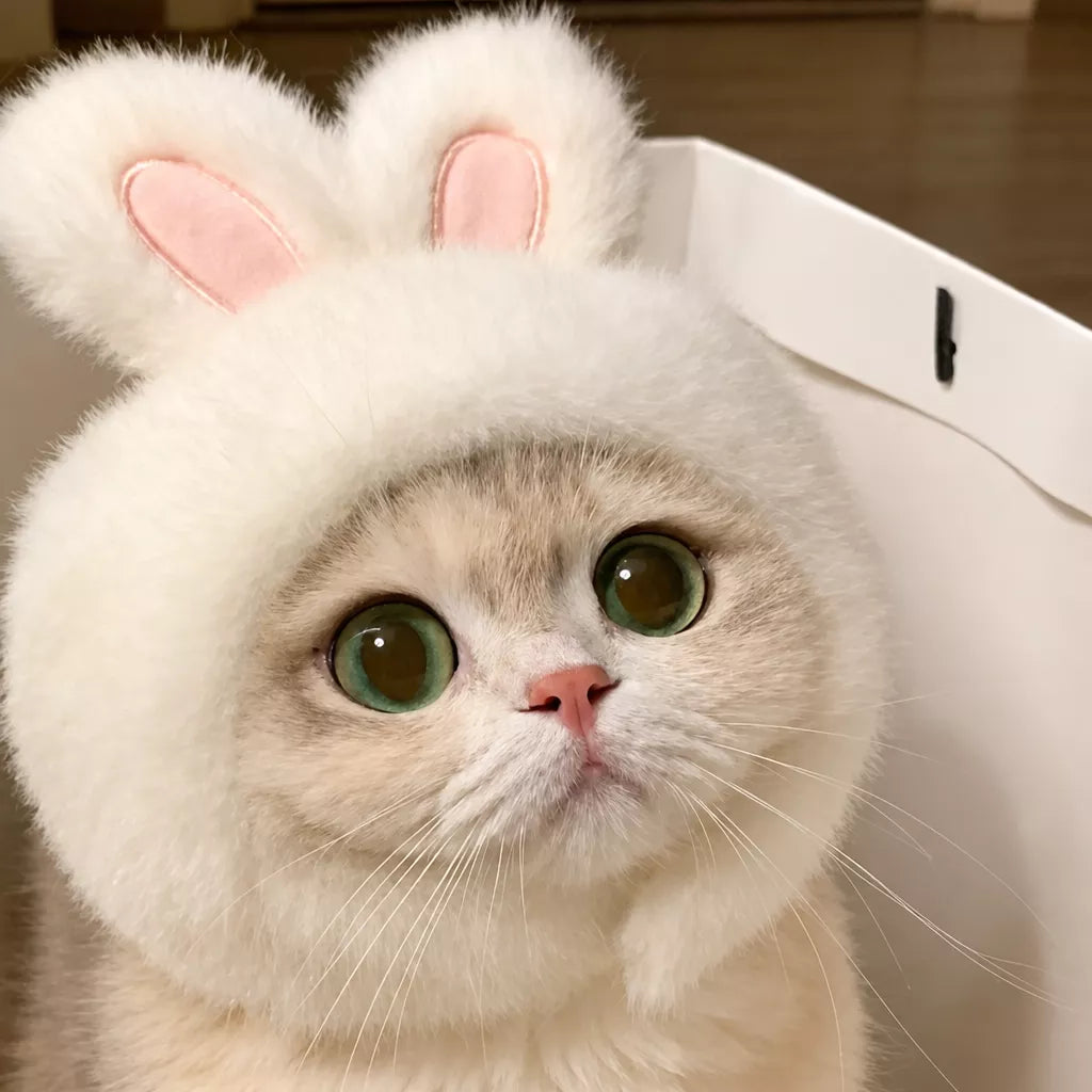 Character Pet Costume Hats for Cats and Dogs