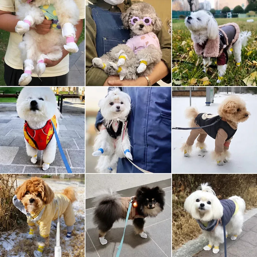 Disposable Dog Paw Covers for Outdoor Walks