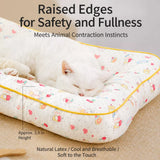 Washable Small Dog Bed
