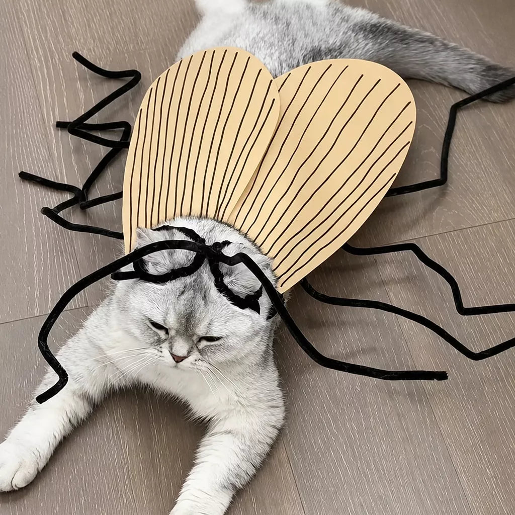 Cockroach-Inspired Cat Costume with Matching Collar