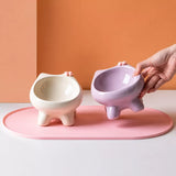 Ceramic Pet Bowl