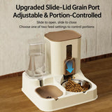 Pet Food and Water Bowl for Cats and Dogs