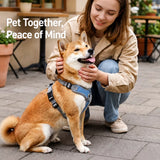 Dog Harness and Leash Set for Small to Medium Dogs