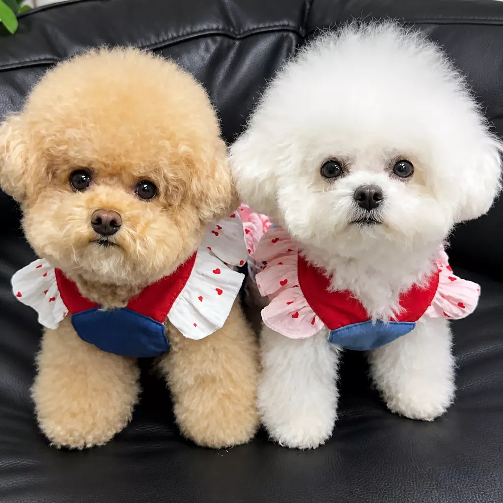 Cotton Denim-Style Pet Dress with Harness and Leash