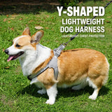 Y-Style Dog Harness Vest