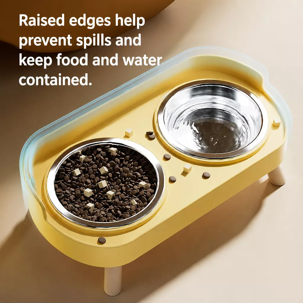 Stainless Steel Dog Bowl with Plastic Stand for Small Dogs