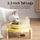 Elevated Ceramic Pet Bowl Set with a Double-Bowl Stand