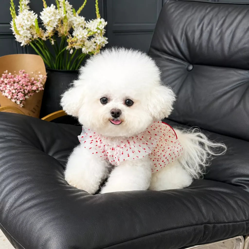 Red Polka-Dot Pet Dress with Leash Ring for Dogs and Cats