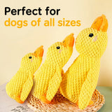 Plush Squeaky Dog Toy with Playful Animal Designs