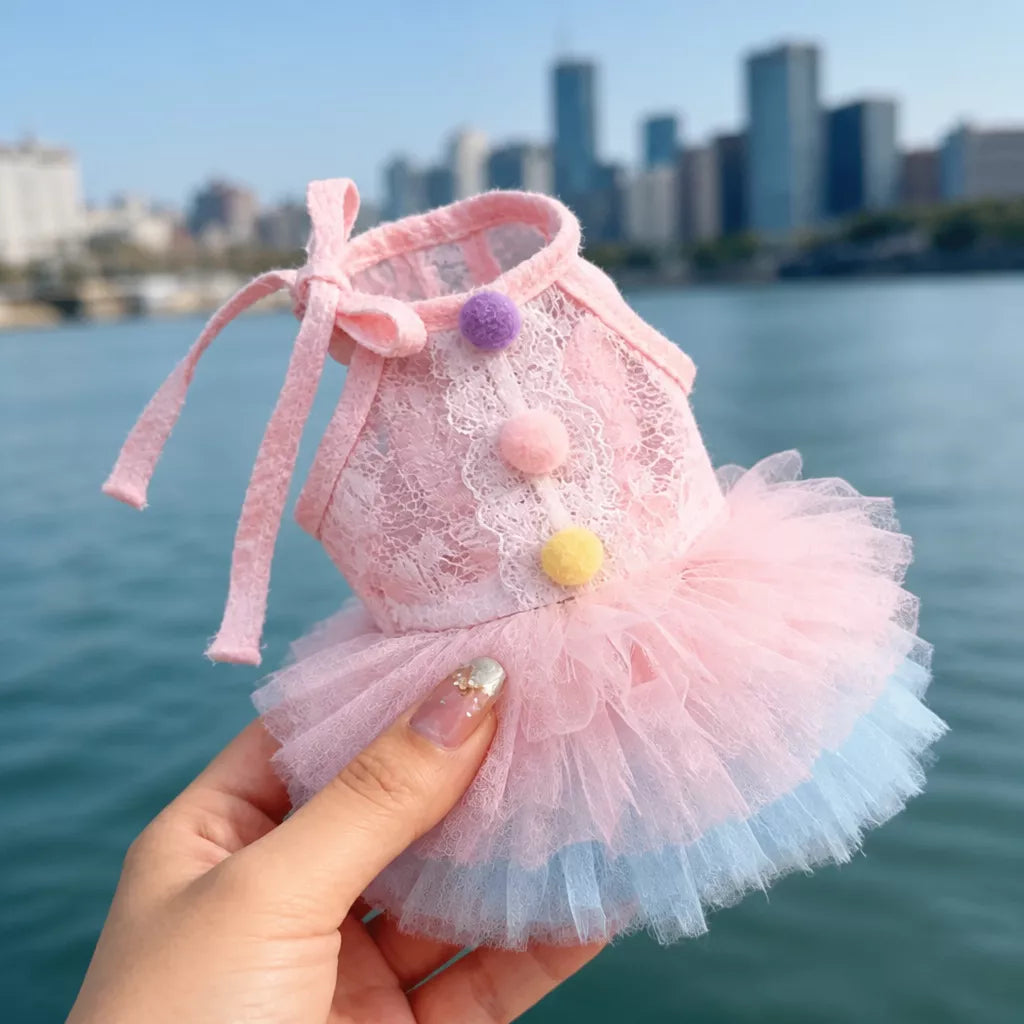 Lace Pet Dress with Gradient Full Skirt for Small Dogs and Cats