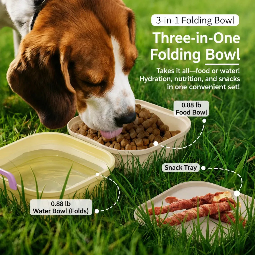 Foldable Double Pet Bowl with Snack Tray