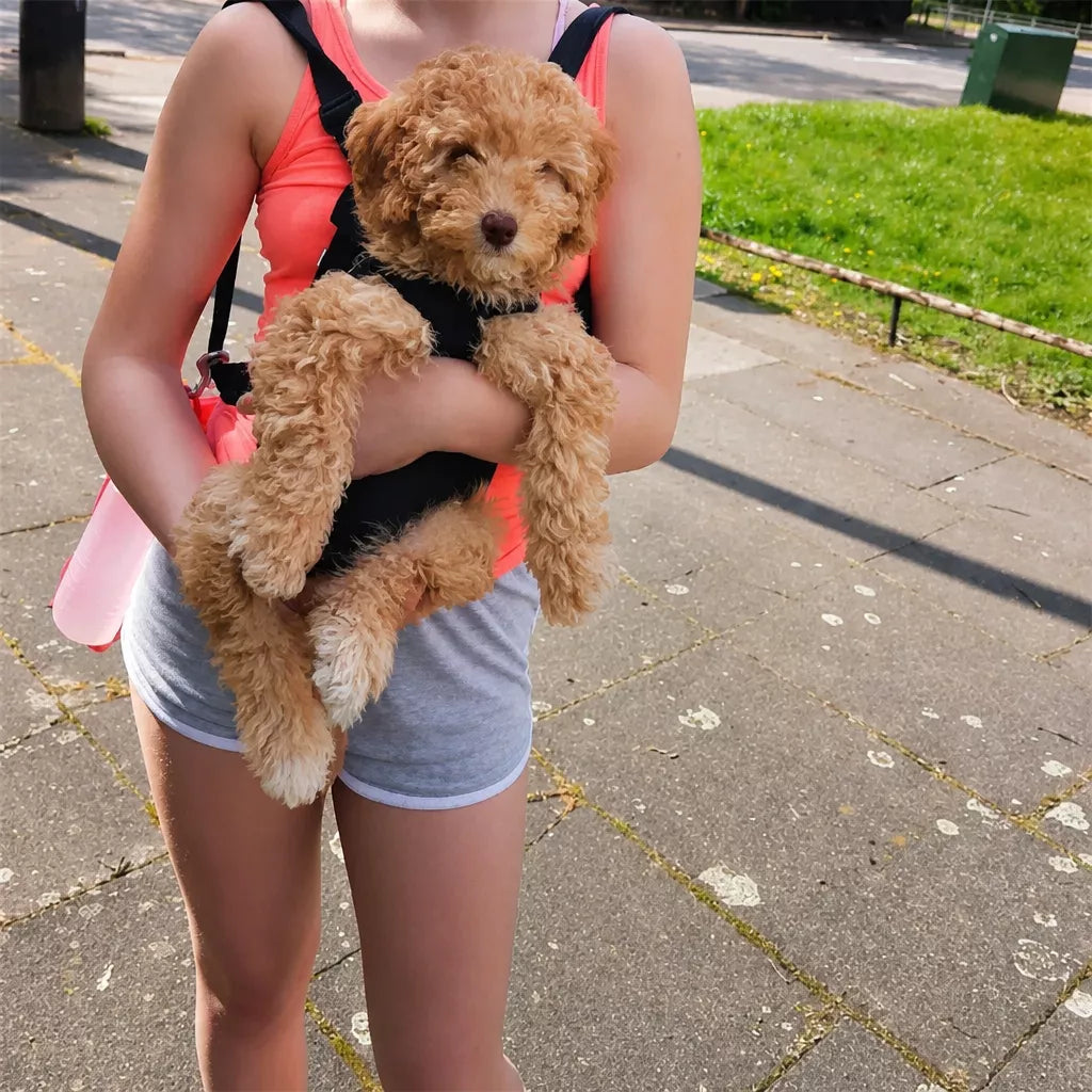 Mesh Pet Carrier Backpack for Cats and Small Dogs