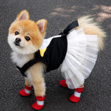 Mesh Dog Shoes with Soft Soles for Everyday Walks
