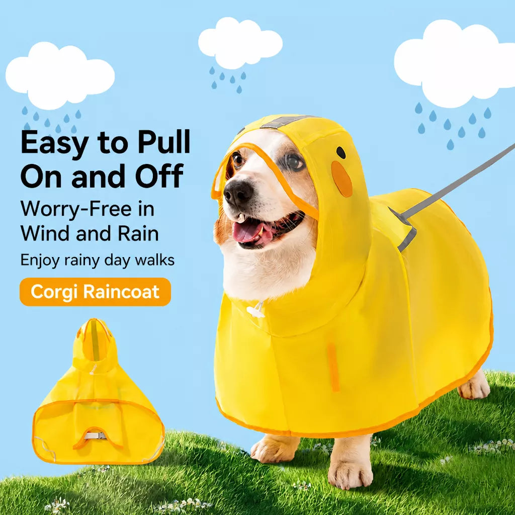 Waterproof Dog Raincoat for Small and Medium Breeds