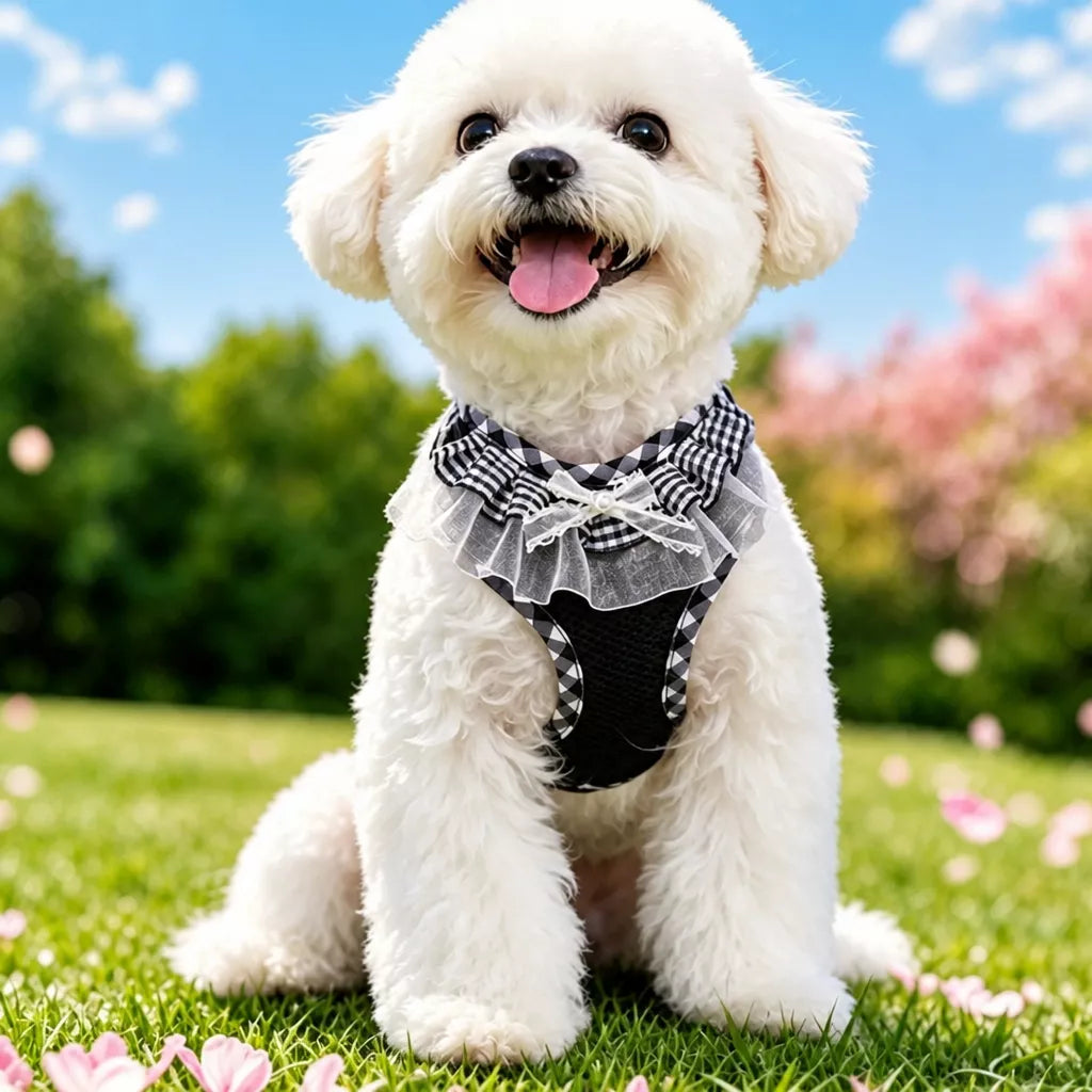 Dog Harness with 6.6-Ft Leash