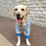 Lightweight Dog Jacket with Elbow and Knee Sleeves for Large Dogs