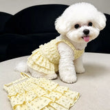 Cotton Pet Dress with Tiered Skirt