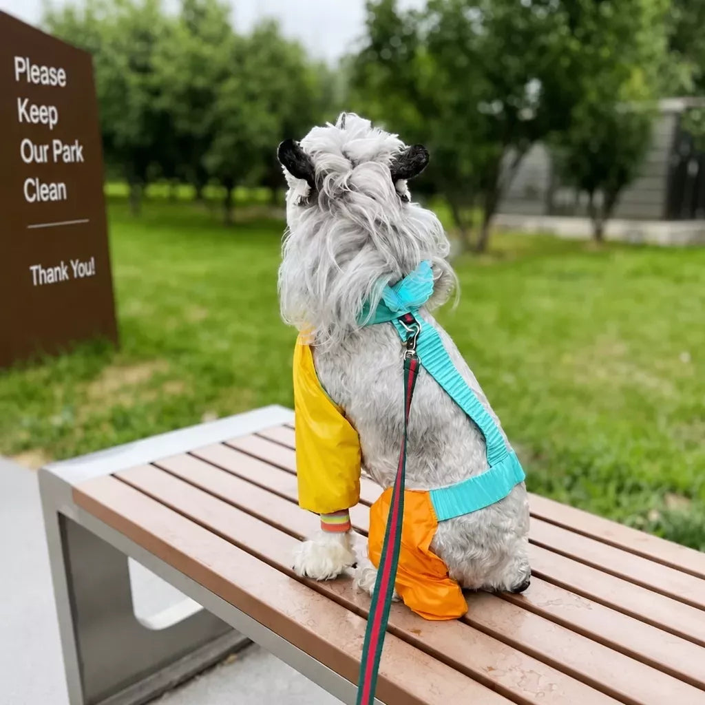 Four-Leg Dog Jumpsuit for Outdoor Wear
