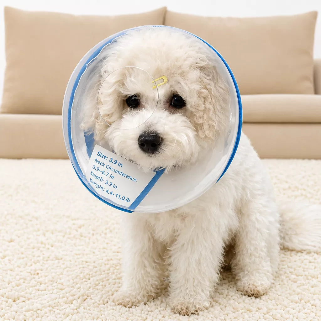 Adjustable Plastic Recovery Cone for Dogs | Elizabethan Collar