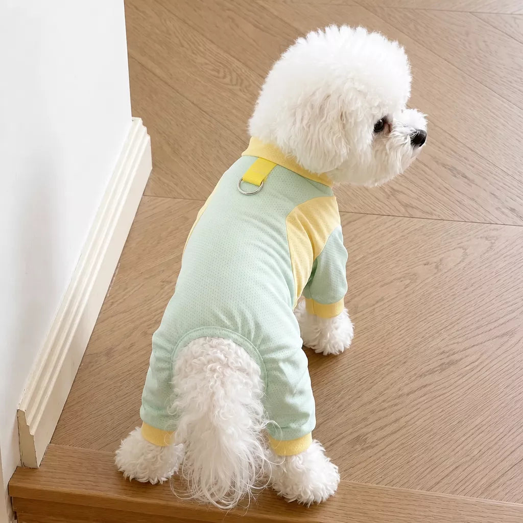 Lightweight Four-Leg Mesh Dog Shirt for Small & Medium Dogs