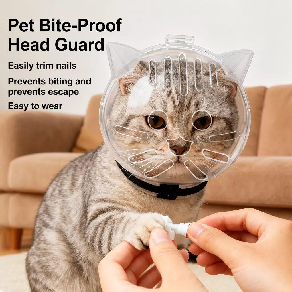 Plastic Recovery Cone for Cats During Grooming and Care