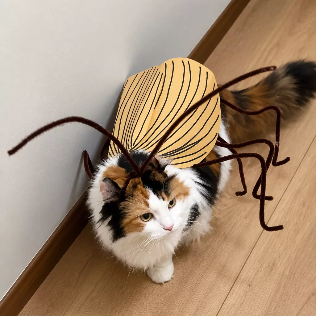 Cockroach-Inspired Cat Costume with Matching Collar