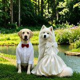 Formal Dress for Large Dogs