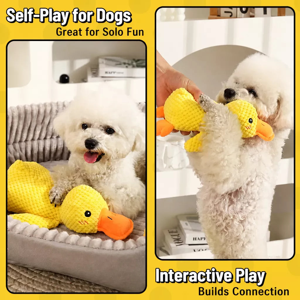 Plush Squeaky Dog Toys