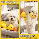 Plush Squeaky Dog Toys