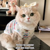 Lightweight Mesh Pet Vest for Cats and Small Dogs