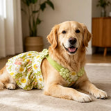 Summer Dog Dress with Shoulder Straps for Medium to Large Dogs