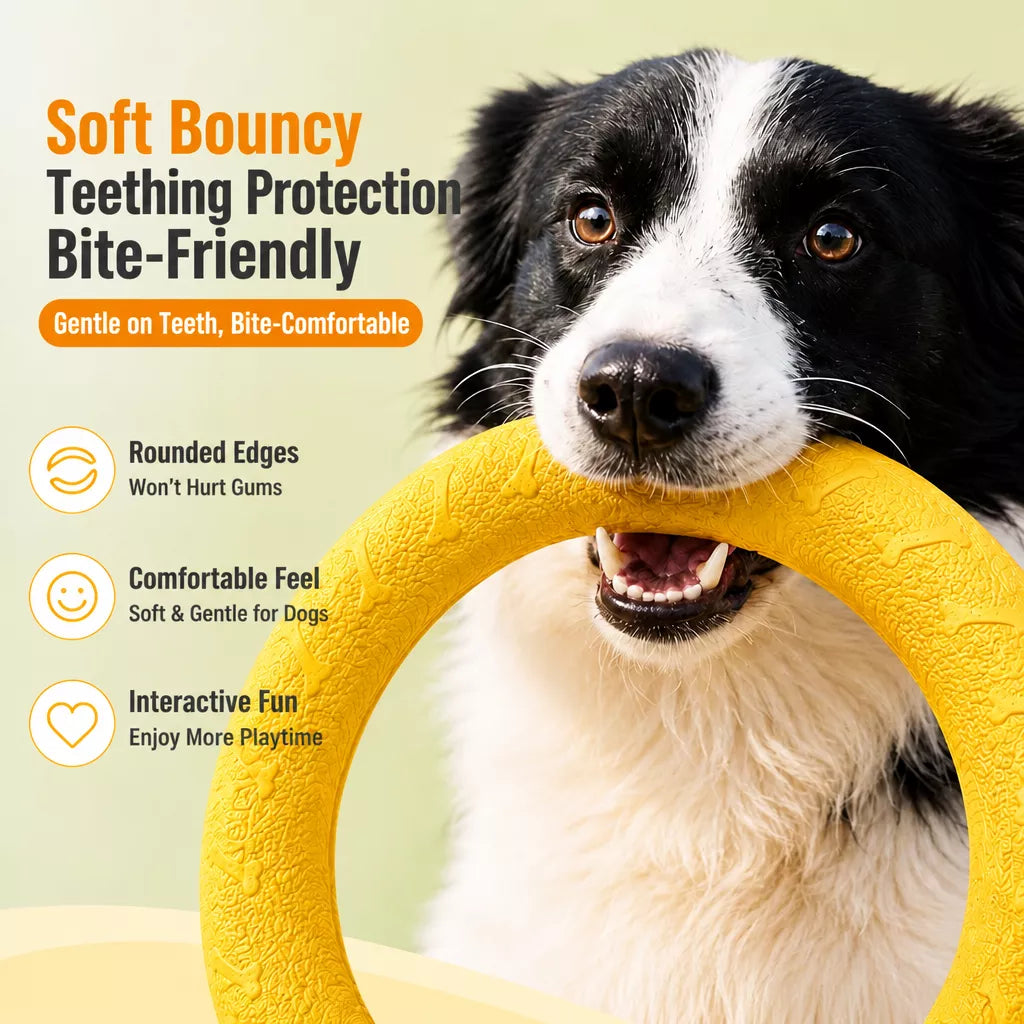 Silicone Dog Ring Toy for Fetch and Tug Play