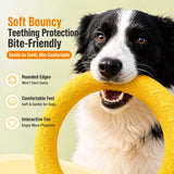 Silicone Dog Ring Toy for Fetch and Tug Play