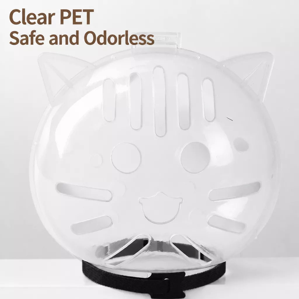 Clear Plastic Pet Recovery Cone for Cats