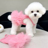 Pet Dress for Small Dogs and Cats