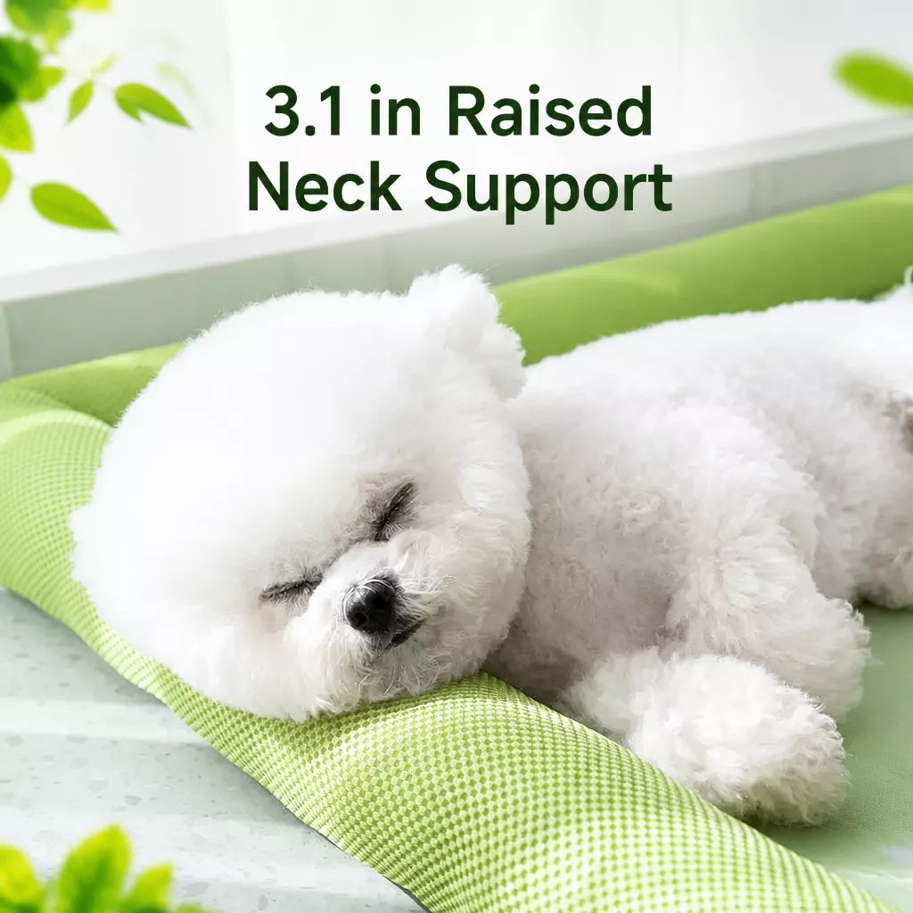 Washable Pet Bed for Dogs with Removable Cover