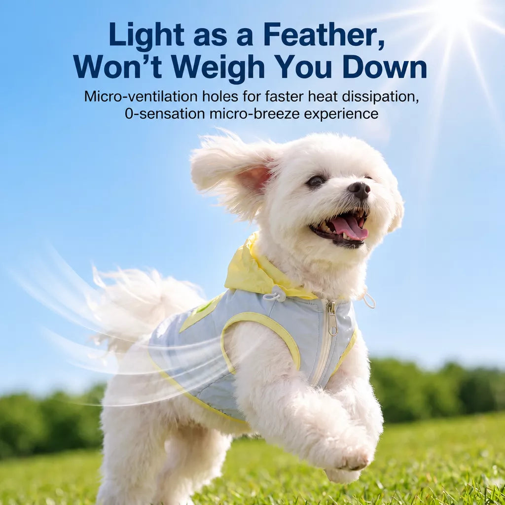 Summer Pet Shirt for Small Dogs