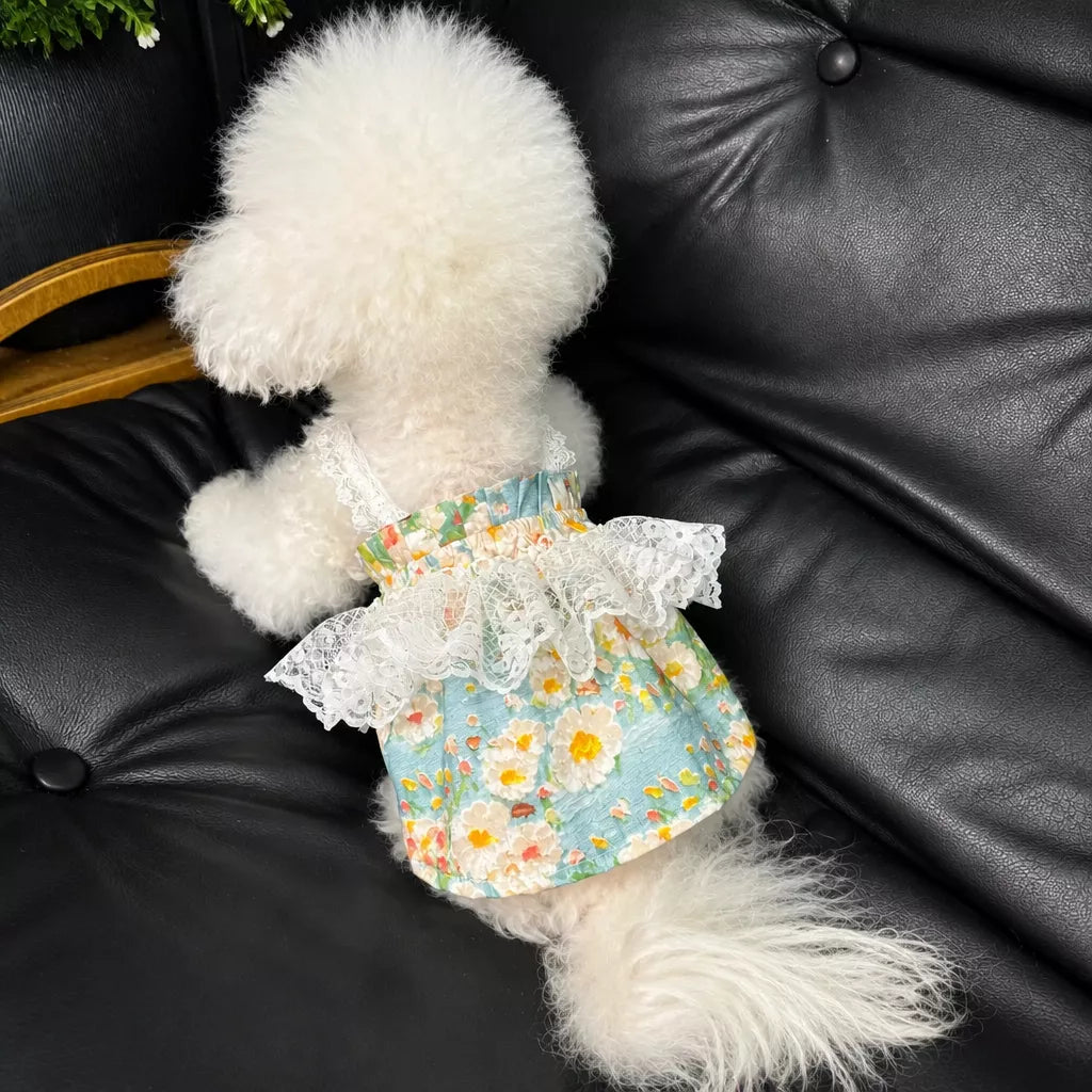 Lightweight Floral Lace Dress for Dogs & Cats
